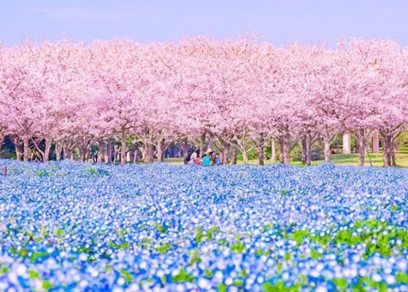 Paisajes increíbles de Japón Paisajes increíbles de Japón