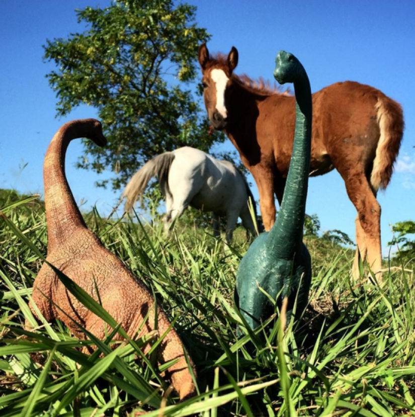 Parece que los dinosaurios todavía deambulan por la tierra.