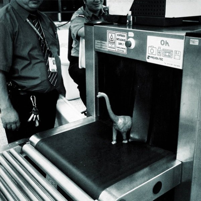 Parece que los dinosaurios todavía deambulan por la tierra.