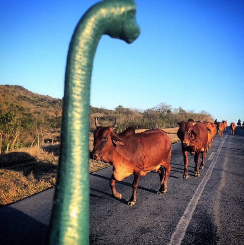Parece que los dinosaurios todavía deambulan por la tierra.