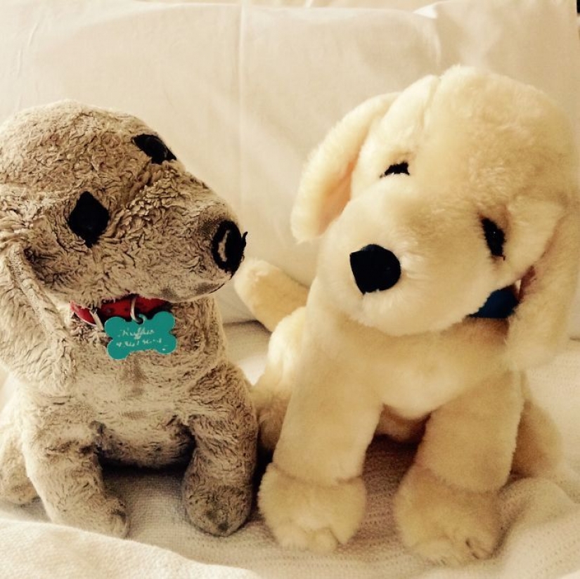 Past vs present: the same toy with a difference in age more than 25 years