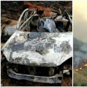 Pensionista brasileño quemó 700 hectáreas de bosque protegido y mató a cientos de animales debido a una estafa de seguros Pensionista brasileño quemó 700 hectáreas de bosque protegido y mató a cientos de animales debido a una estafa de seguros