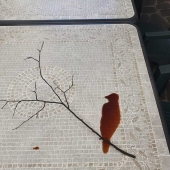 People share random coffee art