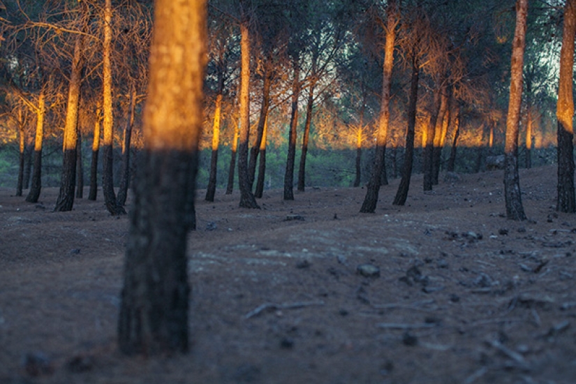 Perfect photos that will delight any perfectionist