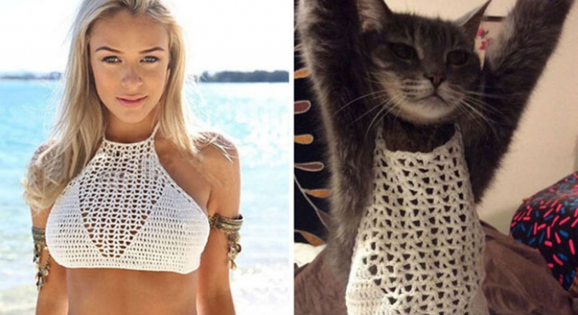 Personas que lamentaron amargamente las compras en Internet