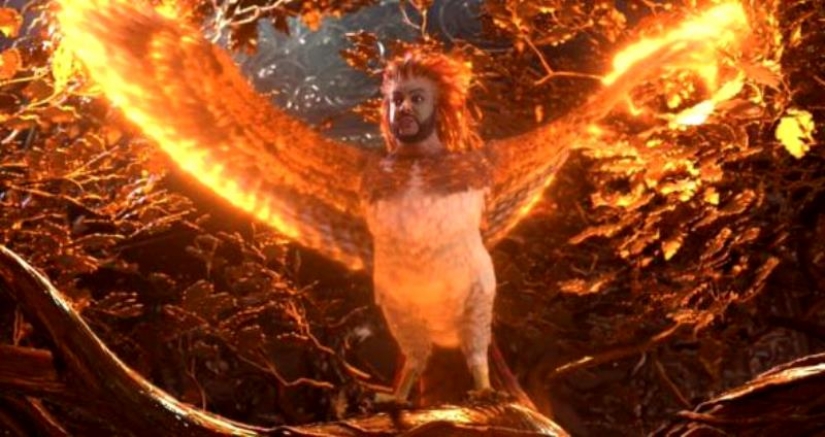 Philip Kirkorov en la imagen de un Pájaro de fuego Ardiente se convierte en un meme Philip Kirkorov en la imagen de un Pájaro de fuego Ardiente se convierte en un meme