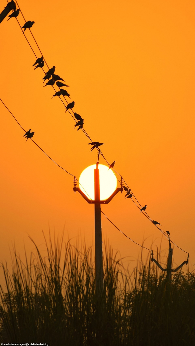 Photographer manipulates the sky for stunning optical illusion shots
