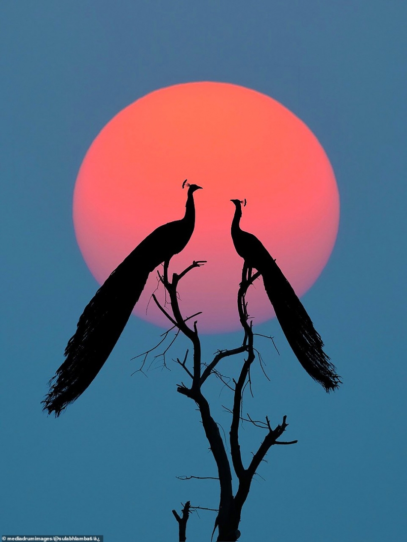 Photographer manipulates the sky for stunning optical illusion shots
