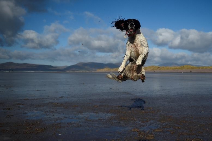Photos of the Year: Animals Photos of the Year: Animals