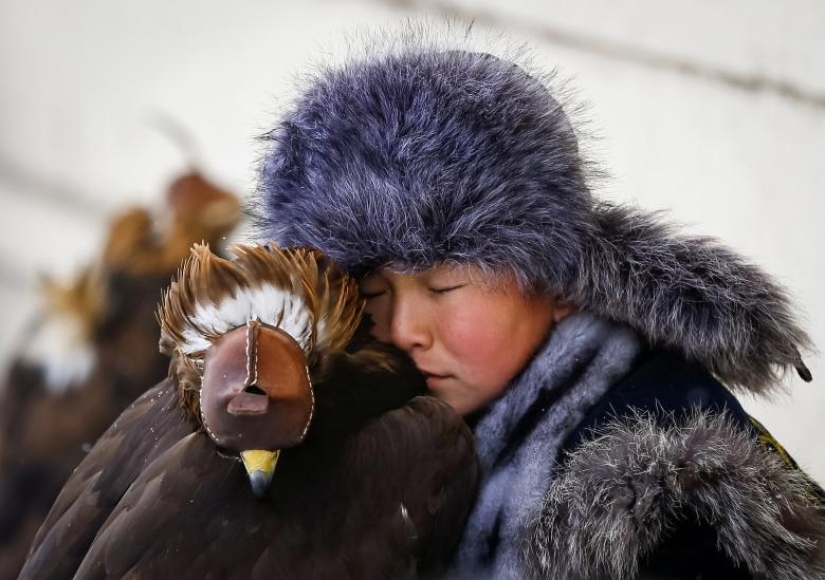 Photos of the Year: Animals Photos of the Year: Animals
