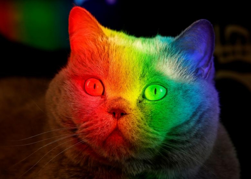 Photos of the Year: Animals Photos of the Year: Animals
