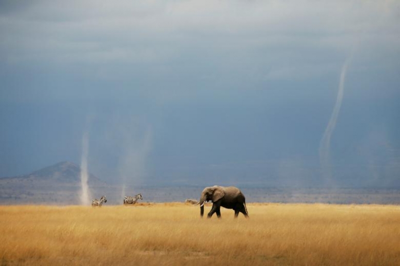Photos of the Year: Animals Photos of the Year: Animals