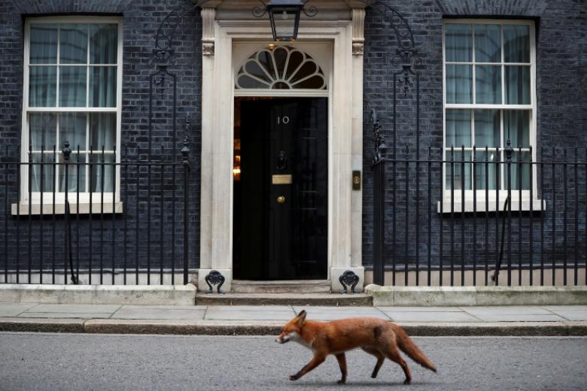 Photos of the Year: Animals Photos of the Year: Animals