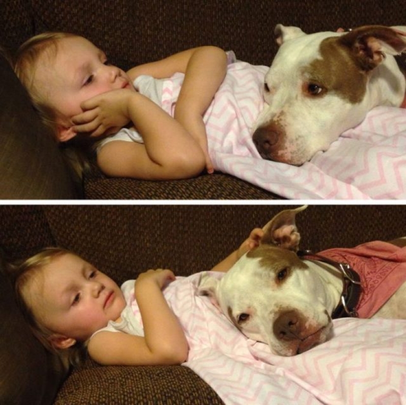 10 photos that prove that fluffy friends can improve any miserable day