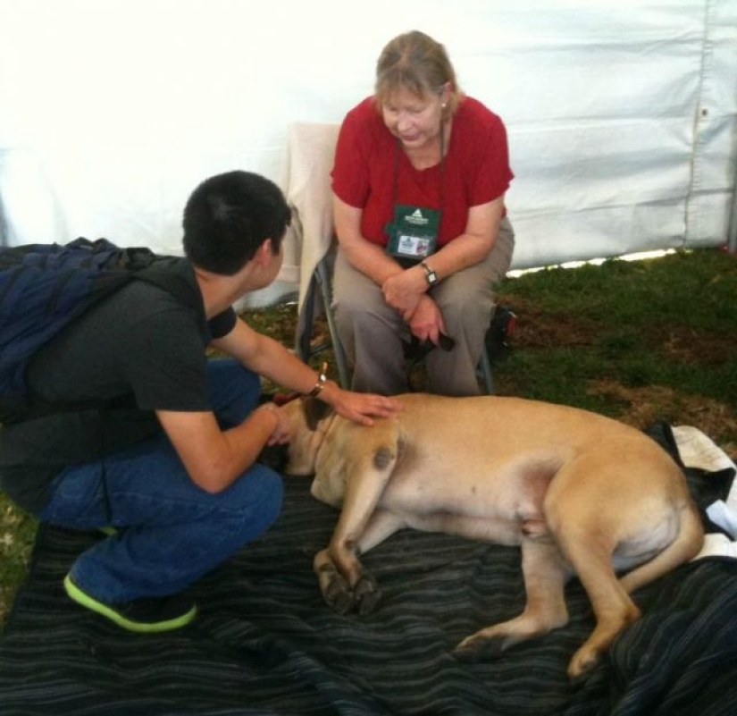 10 photos that prove that fluffy friends can improve any miserable day