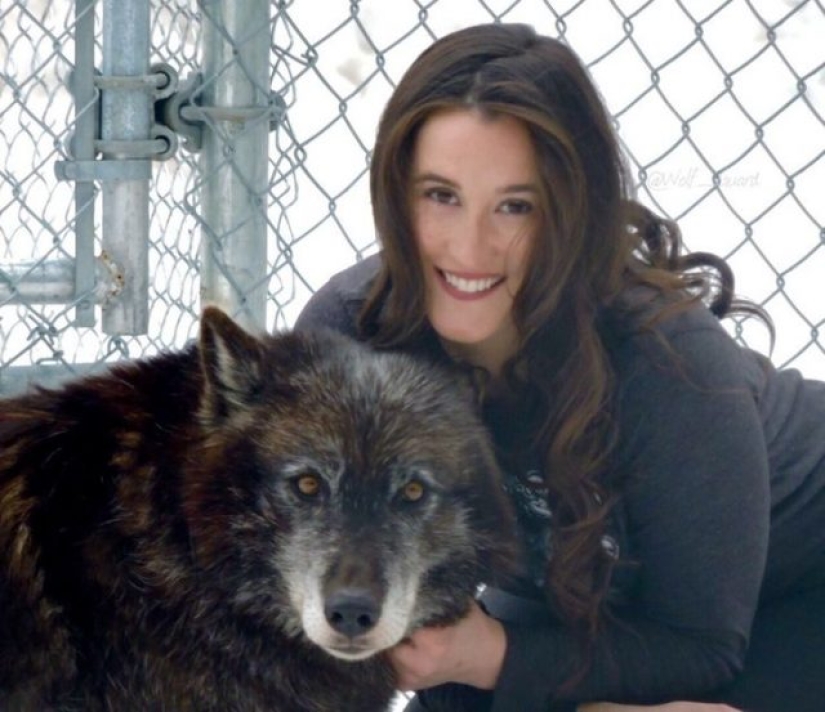 10 photos that prove that fluffy friends can improve any miserable day