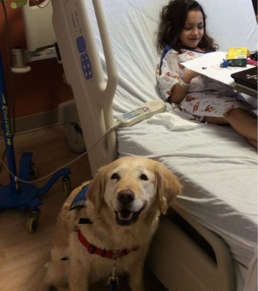 10 photos that prove that fluffy friends can improve any miserable day