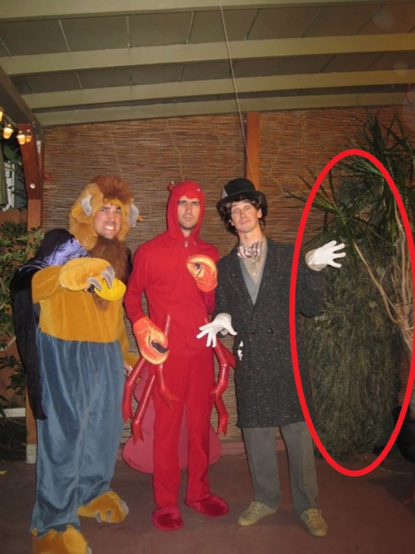 Photos that will bring you to tears if you look closely