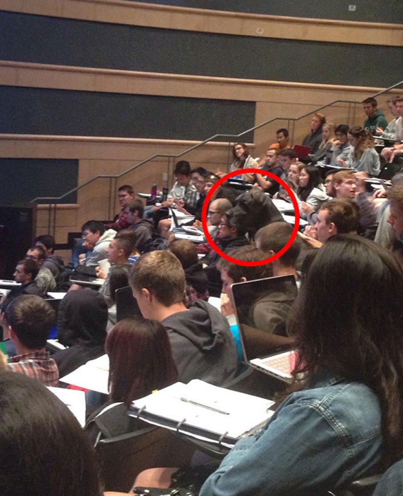 Photos that will bring you to tears if you look closely