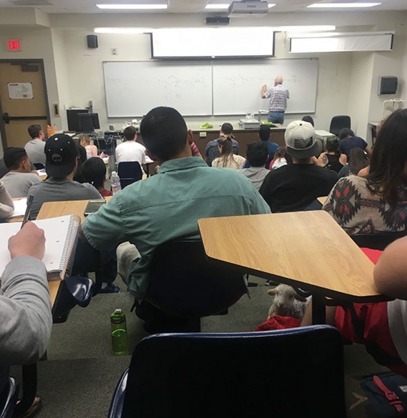 Photos that will bring you to tears if you look closely