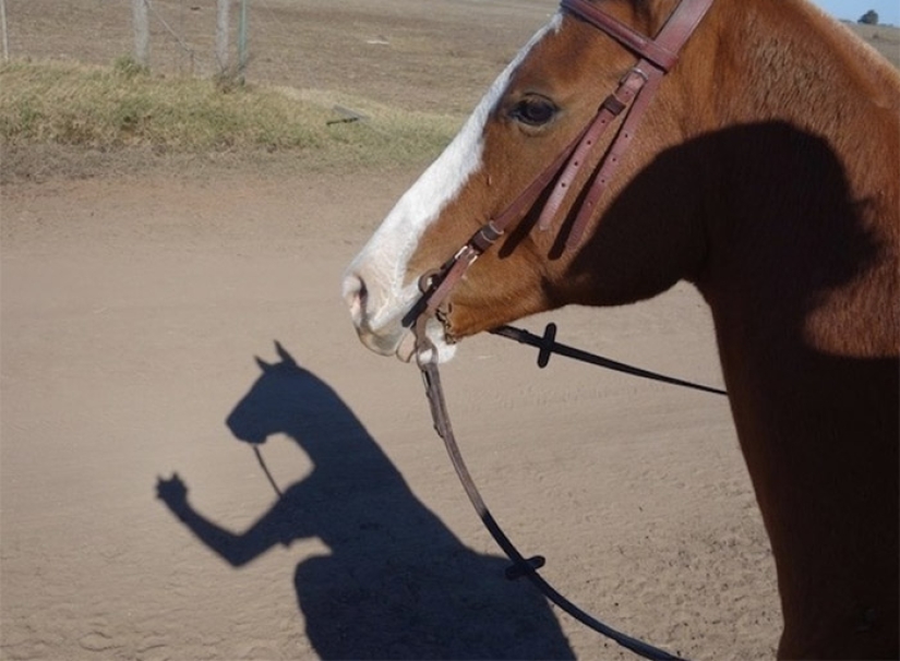 Photos that will drive your mind beyond reason Photos that will drive your mind beyond reason