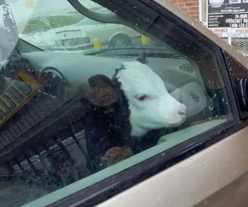 Photos that will drive your mind beyond reason Photos that will drive your mind beyond reason