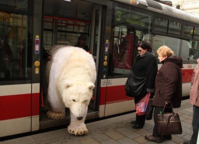 Photos that will drive your mind beyond reason Photos that will drive your mind beyond reason