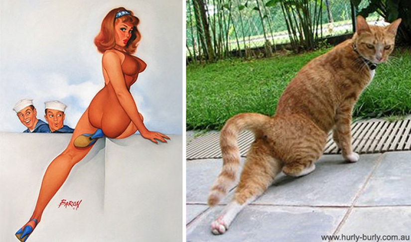 Pin-up-Girls vs cats in the fight for your love