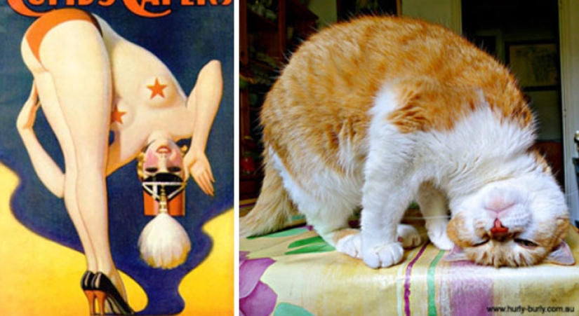 Pin-up-Girls vs cats in the fight for your love