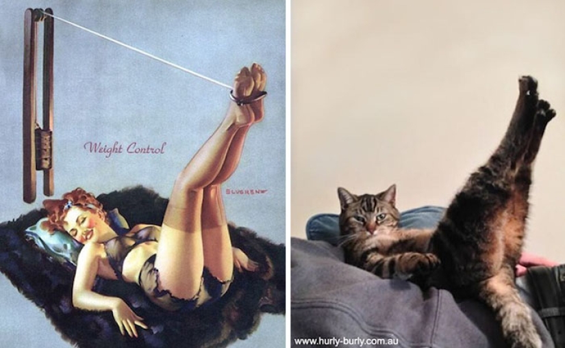 Pin-up-Girls vs cats in the fight for your love