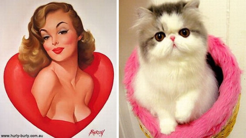 Pin-up-Girls vs cats in the fight for your love