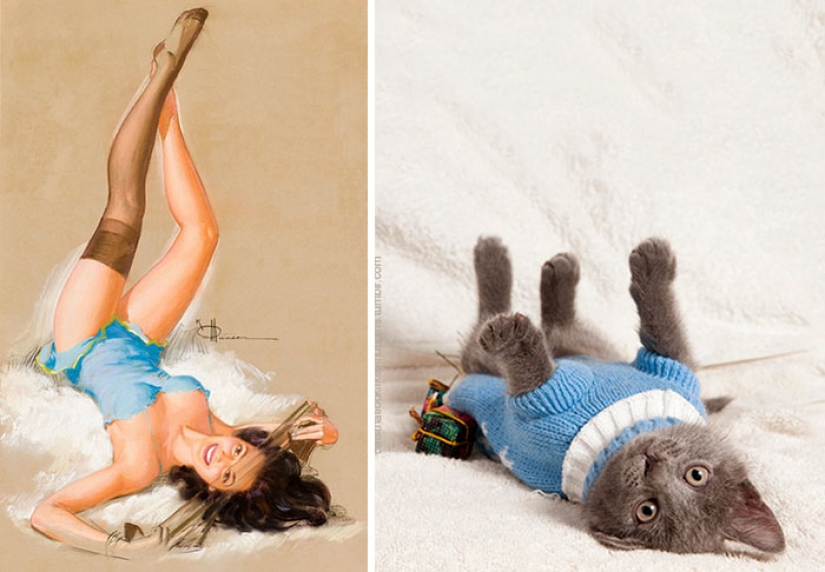Pin-up Girls vs gatos en la lucha por tu amor Pin-up Girls vs gatos en la lucha por tu amor