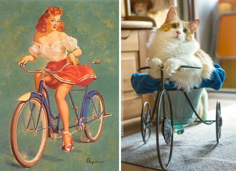 Pin-up Girls vs gatos en la lucha por tu amor Pin-up Girls vs gatos en la lucha por tu amor