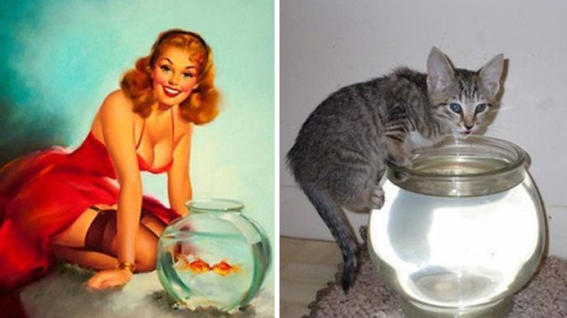 Pin-up Girls vs gatos en la lucha por tu amor Pin-up Girls vs gatos en la lucha por tu amor