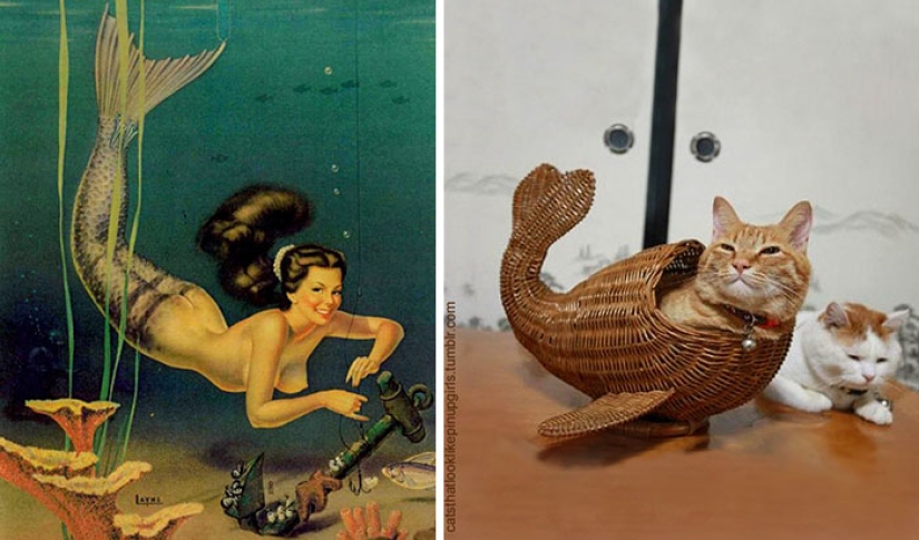 Pin-up Girls vs gatos en la lucha por tu amor Pin-up Girls vs gatos en la lucha por tu amor