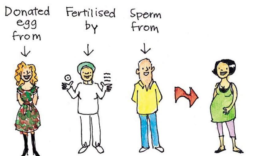 Pistilos y los estambres: como en diferentes países para enseñar a los niños sobre el sexo Pistilos y los estambres: como en diferentes países para enseñar a los niños sobre el sexo