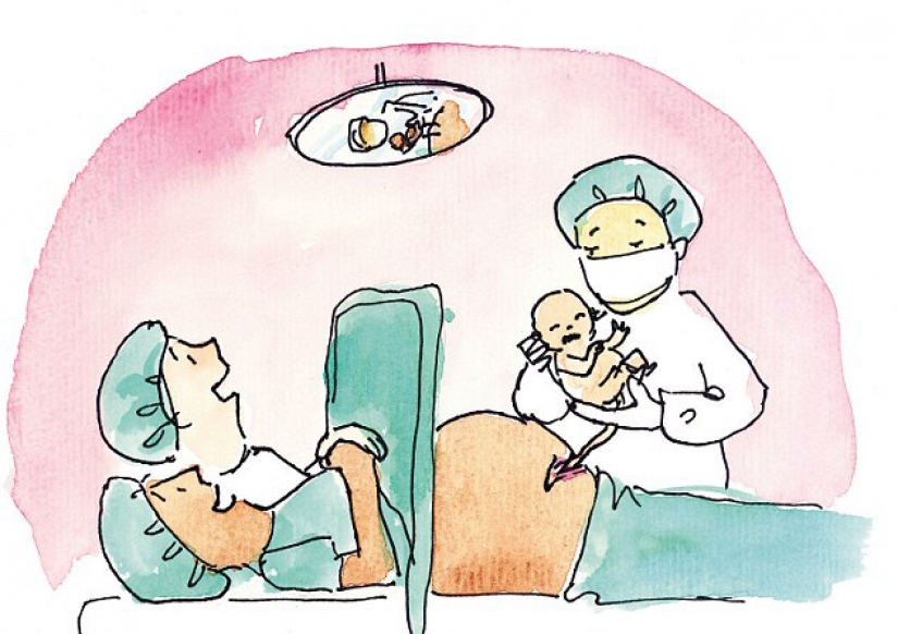 Pistilos y los estambres: como en diferentes países para enseñar a los niños sobre el sexo Pistilos y los estambres: como en diferentes países para enseñar a los niños sobre el sexo