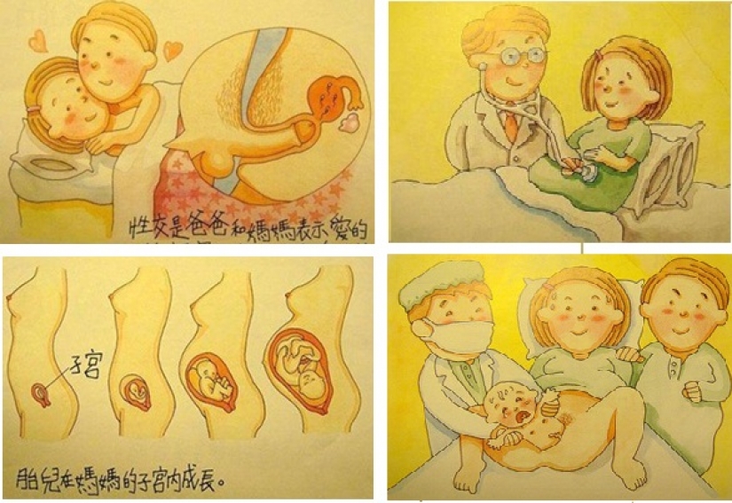 Pistilos y los estambres: como en diferentes países para enseñar a los niños sobre el sexo Pistilos y los estambres: como en diferentes países para enseñar a los niños sobre el sexo