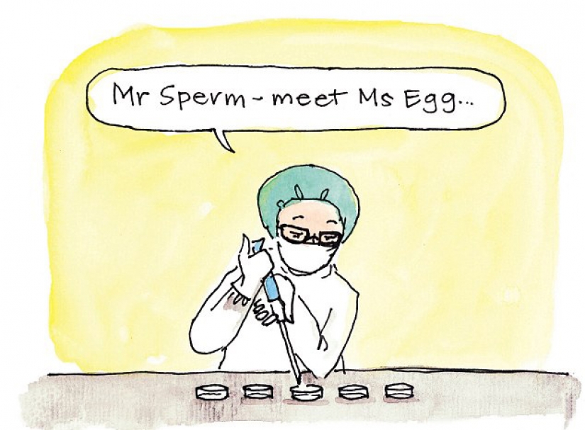 Pistilos y los estambres: como en diferentes países para enseñar a los niños sobre el sexo Pistilos y los estambres: como en diferentes países para enseñar a los niños sobre el sexo