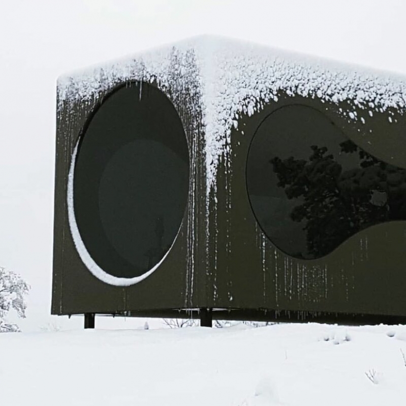 Pájaro cuadros con vistas de los fiordos y montañas de Noruega