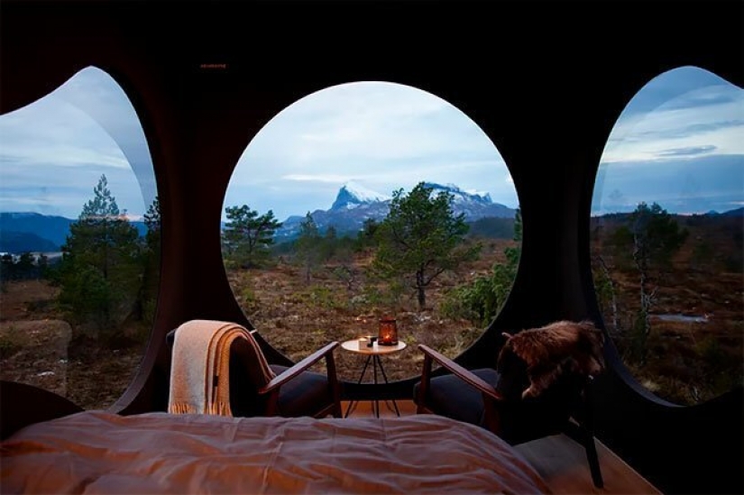 Pájaro cuadros con vistas de los fiordos y montañas de Noruega