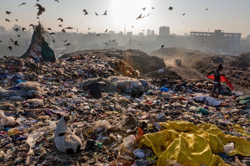 Planet or plastic? National Geographic Campaign