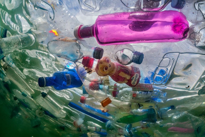 Planet or plastic? National Geographic Campaign