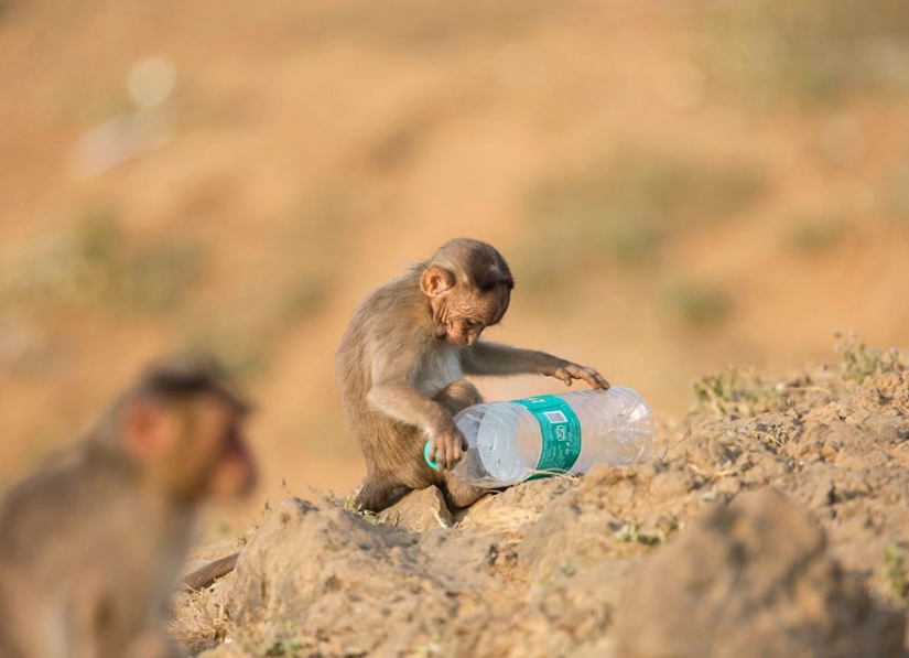 Planet or plastic? National Geographic Campaign