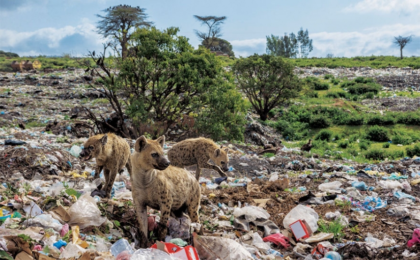 Planet or plastic? National Geographic Campaign