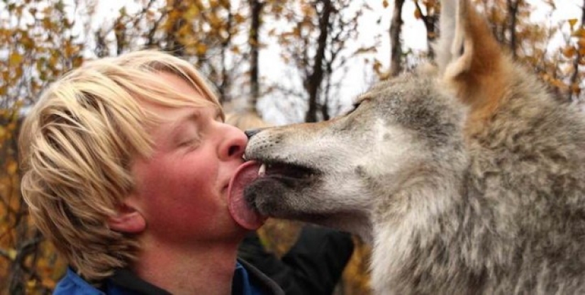 Playing with wolves is allowed