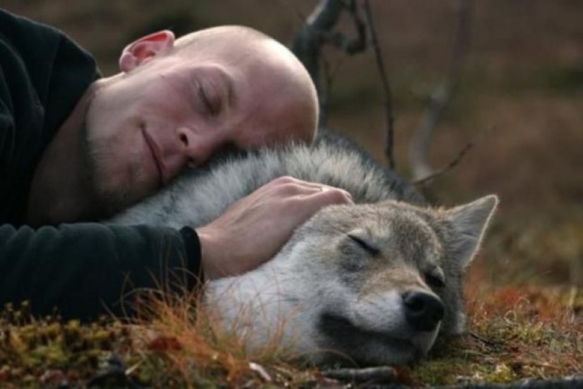 Playing with wolves is allowed
