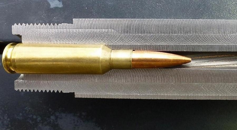 Por la mitad: las cosas habituales, cortadas en trozos Por la mitad: las cosas habituales, cortadas en trozos