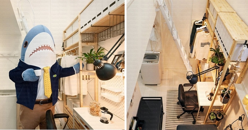 Por qué IKEA alquila apartamentos dúplex en el centro de Tokio por 65 rublos al mes Por qué IKEA alquila apartamentos dúplex en el centro de Tokio por 65 rublos al mes