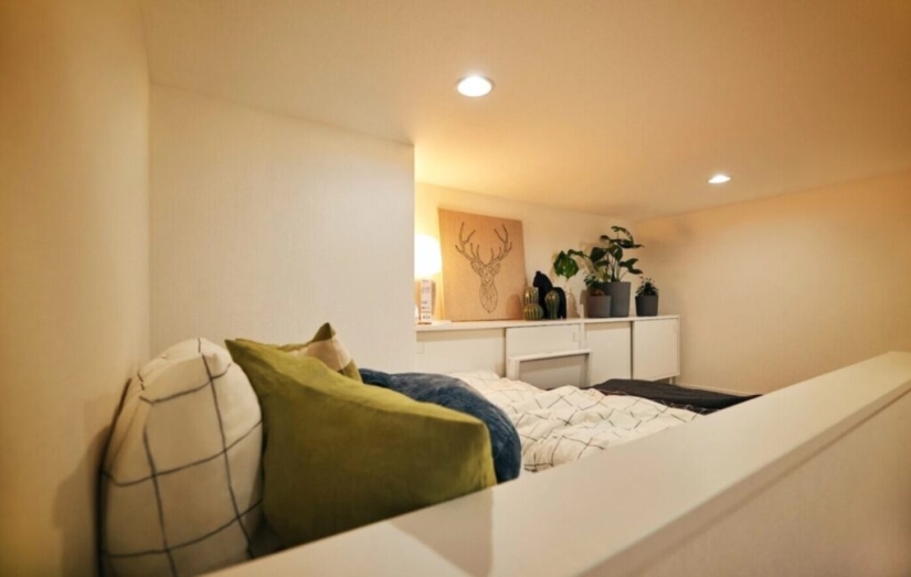 Por qué IKEA alquila apartamentos dúplex en el centro de Tokio por 65 rublos al mes Por qué IKEA alquila apartamentos dúplex en el centro de Tokio por 65 rublos al mes